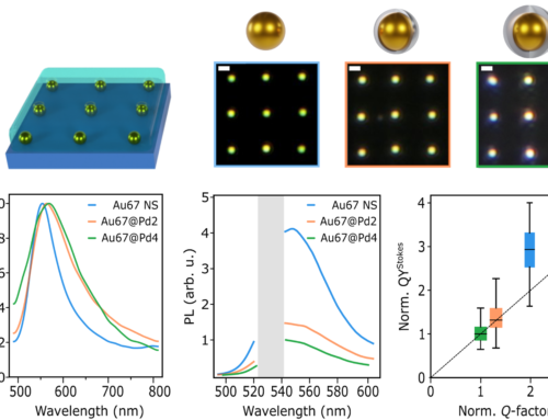 Anti-stokes thermometry of single Au/Pd nanoparticles